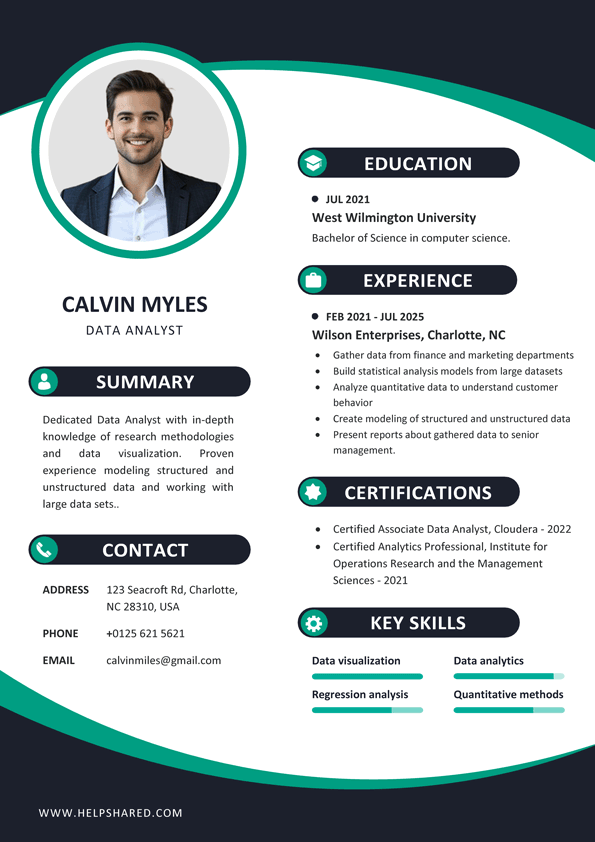 data analyst resume